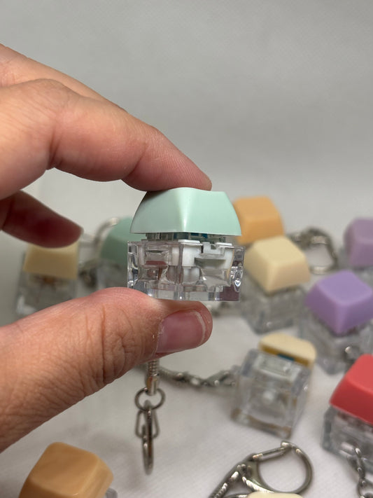 Random Clicker color (toy)keychain
