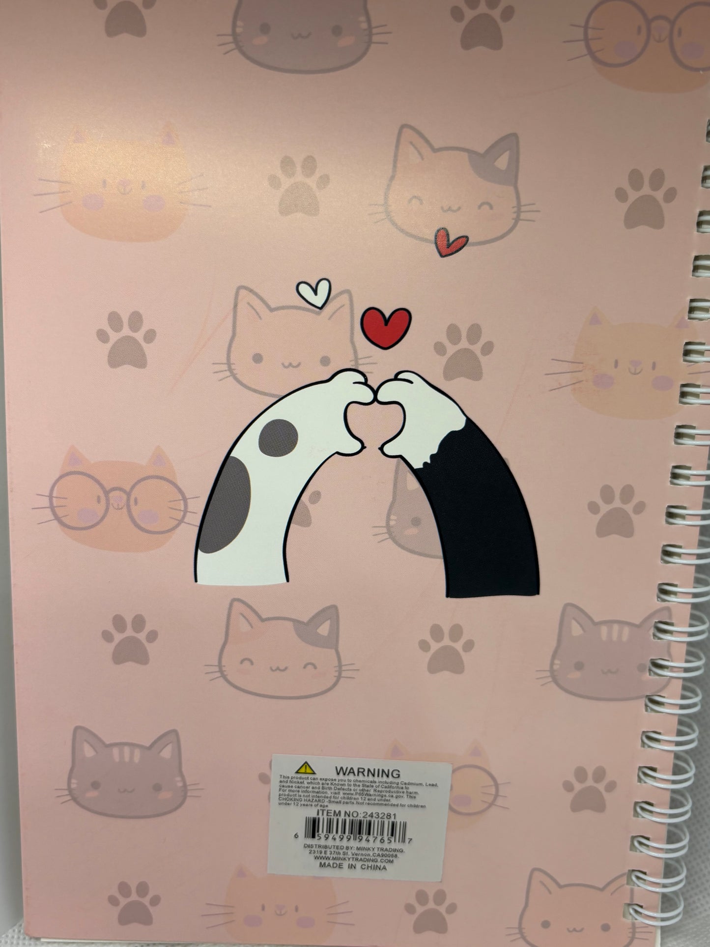 Kitten notebook