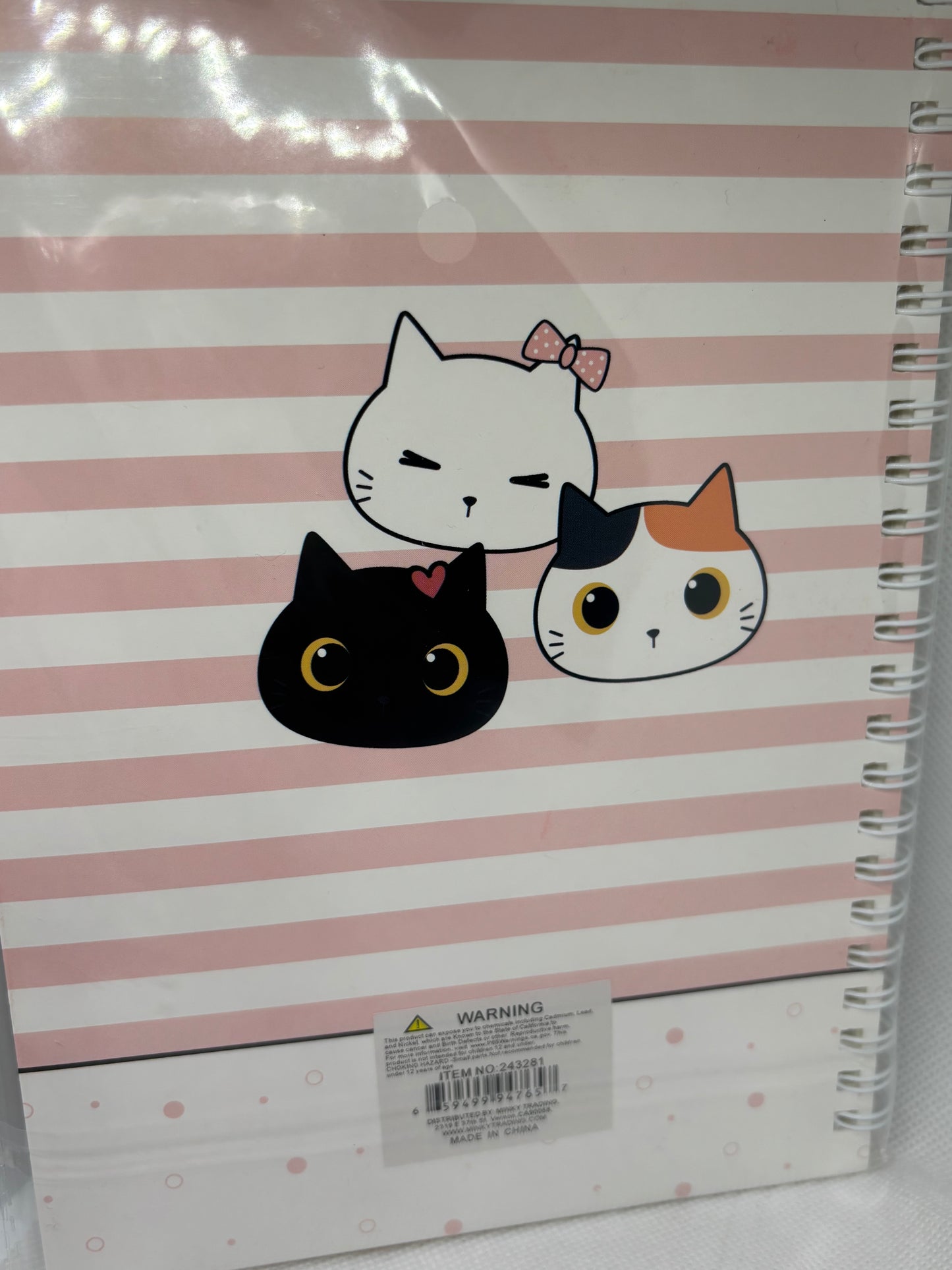 Kitten notebook