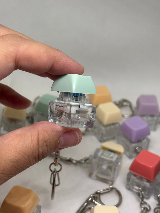 Random Clicker color (toy)keychain