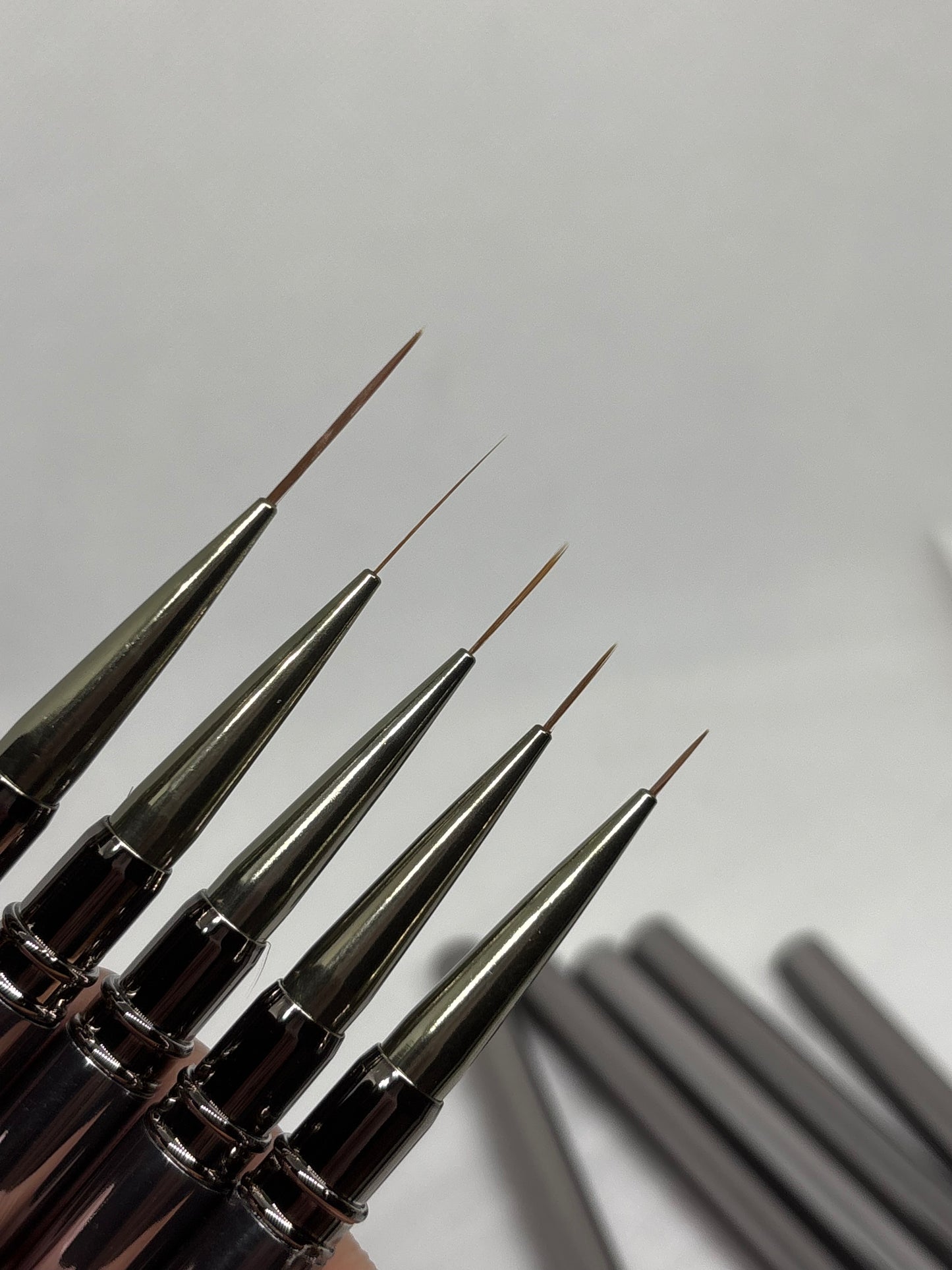 Liner brushes