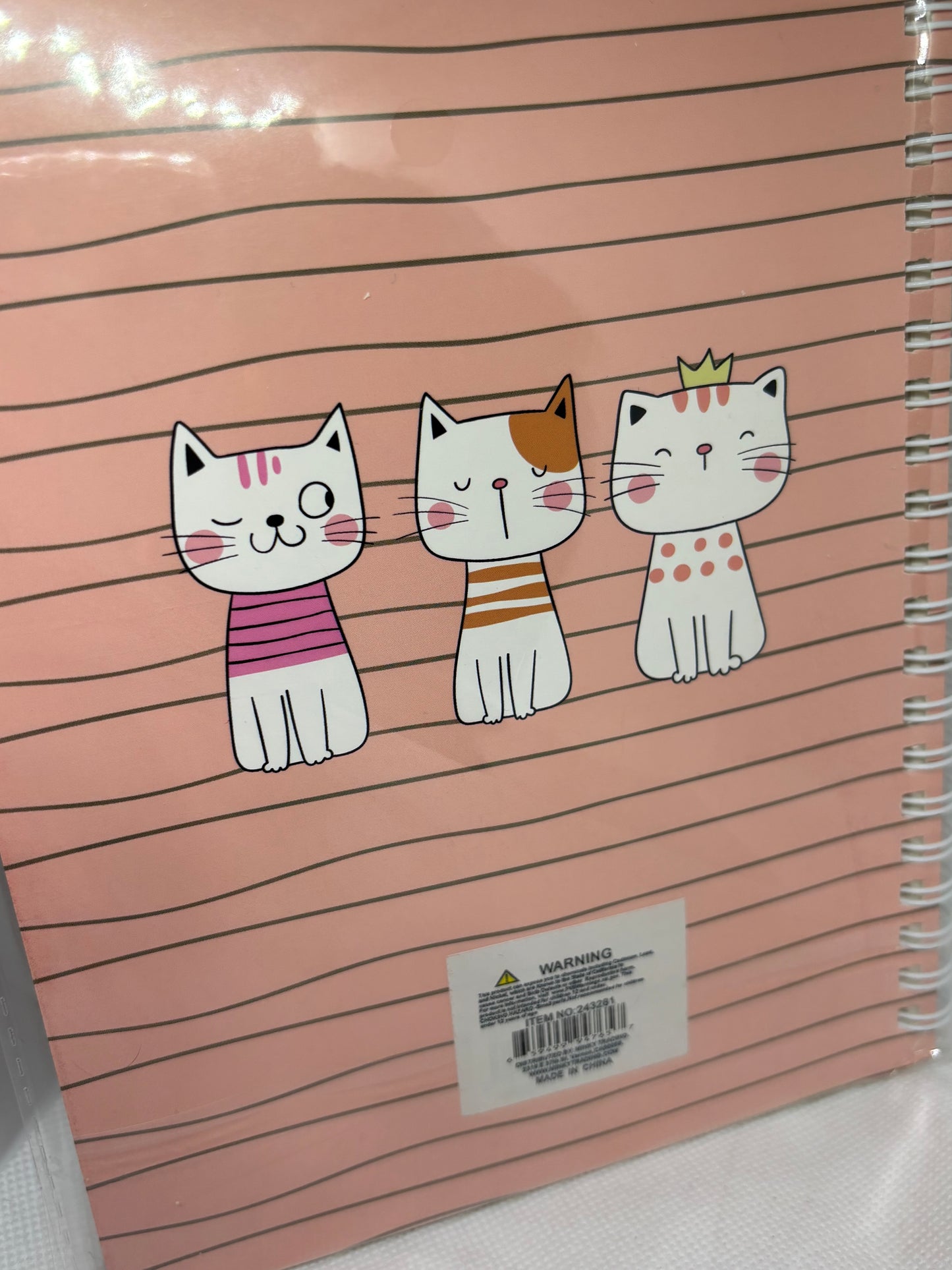 Kitten notebook