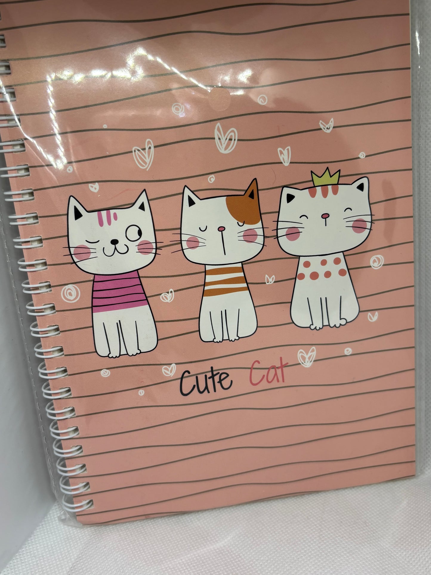 Kitten notebook