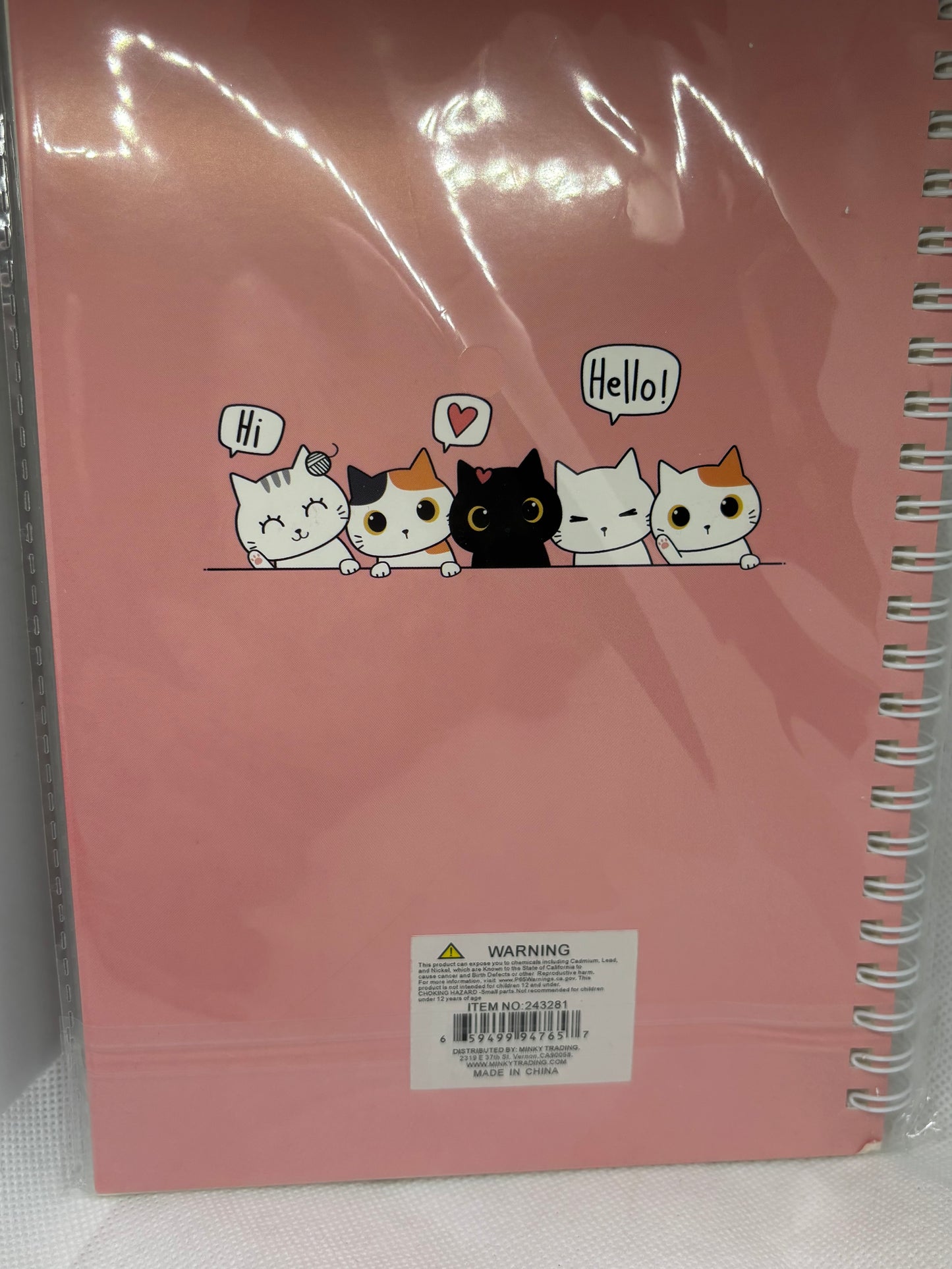 Kitten notebook